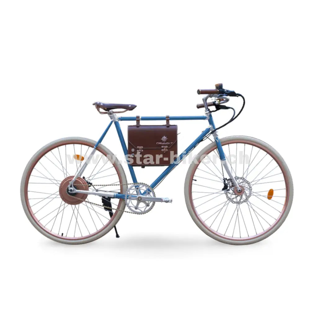 fahrrad in der schweiz kaufen Rayvolt Ambassador E-Bike kaufen – Elektro Velo ideal für die Schweiz – Star-Biker