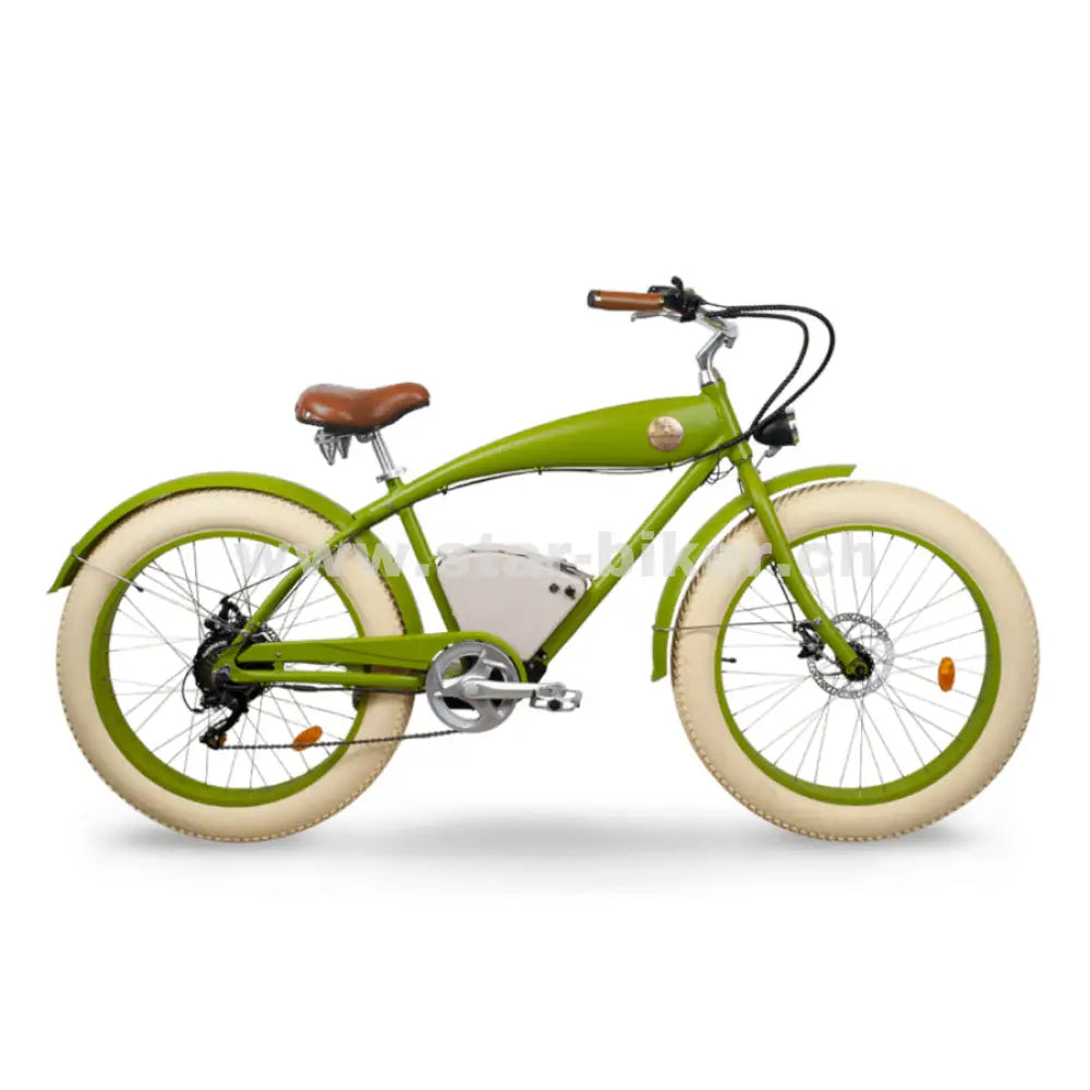 Rayvolt Beachin Smart Hub - 400 Wh / 10 Ah Vintage Green E - Bike