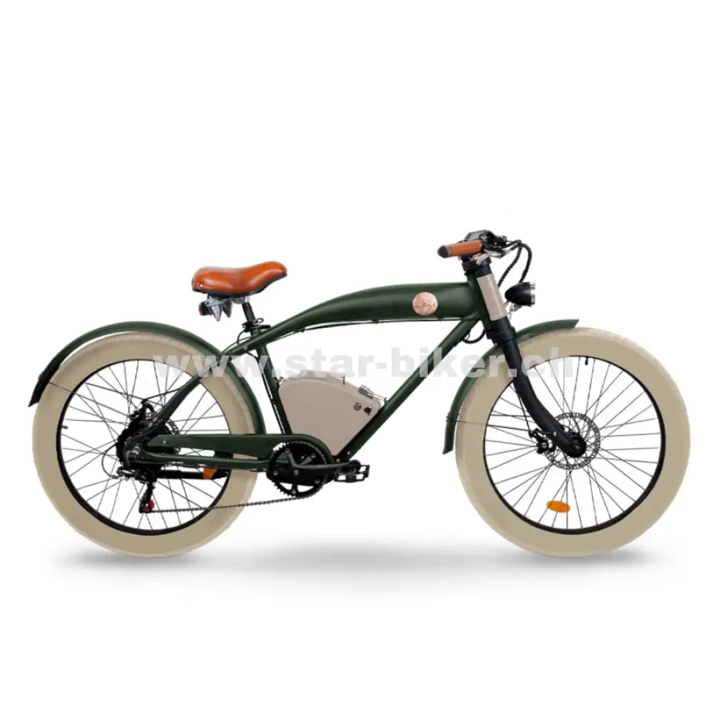 Rayvolt Clubman Smart Hub - 400 Wh / 10 Ah Green Night Vintage E - Bike