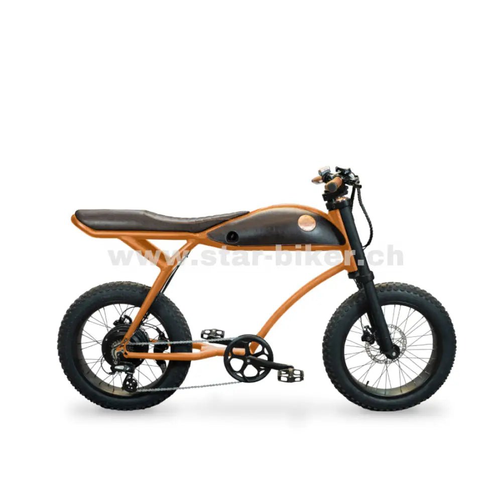 fahrrad schweiz kaufen Rayvolt Ringo E-Bike kaufen – Elektro Velo ideal für die Schweiz – Star-Biker