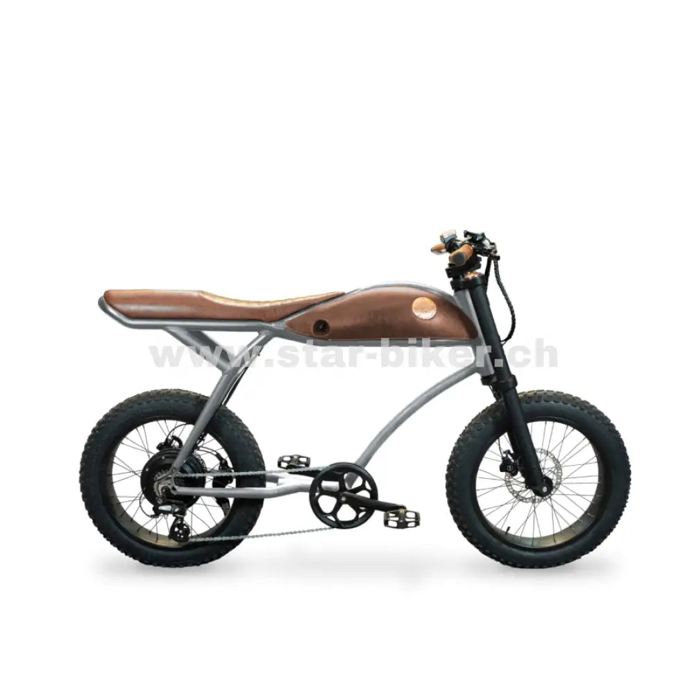 Rayvolt Ringo E-Bike kaufen – Elektro Velo ideal für die Schweiz – Star-Biker