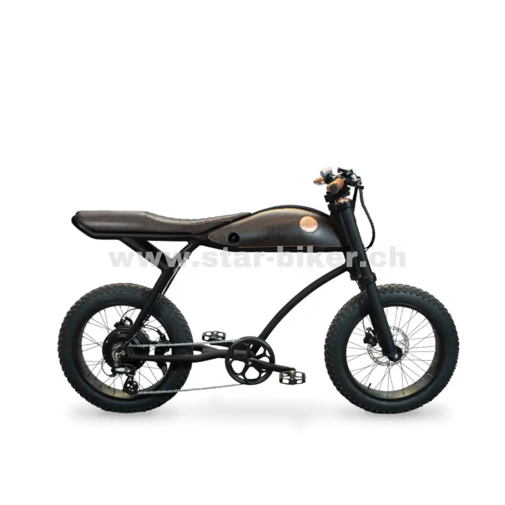 Rayvolt Ringo | Vintage E-Bikes bei Star-Biker online kaufen – star ...