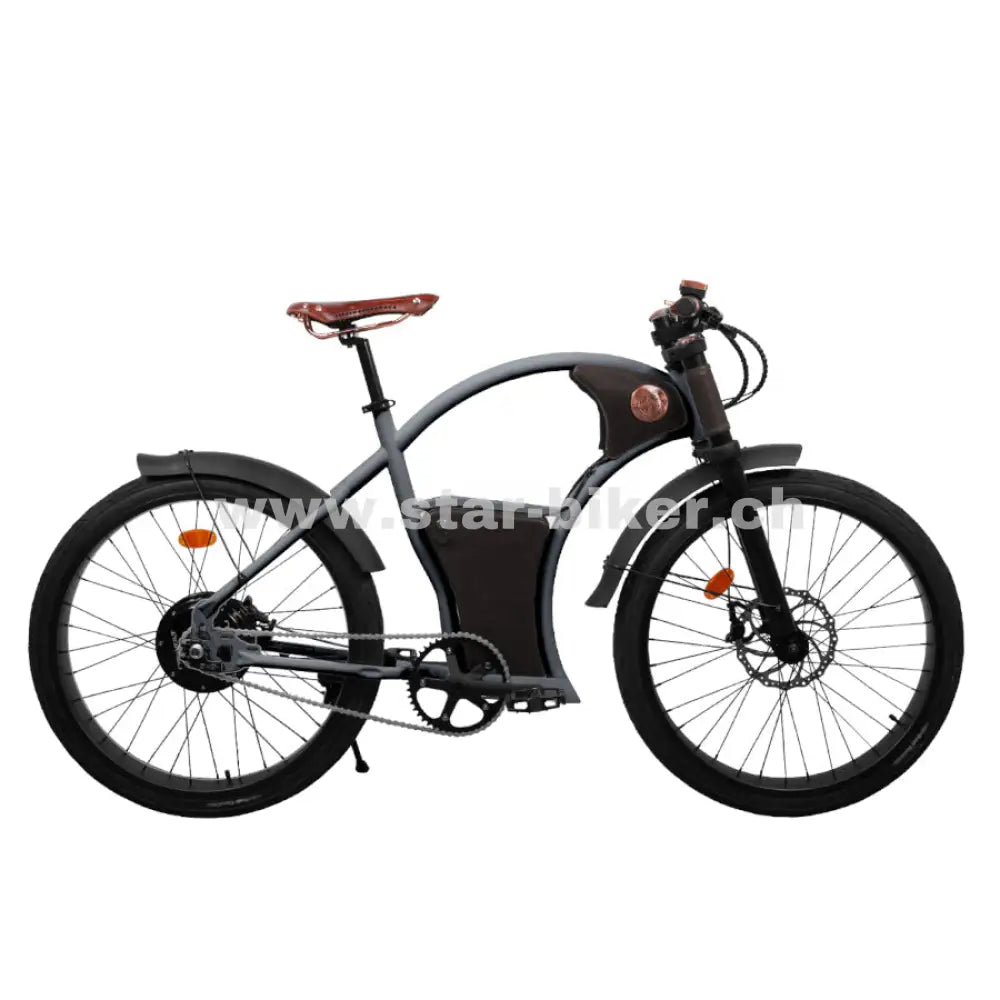 Rayvolt Torino Smart Hub - 400 Wh / 11 Ah Graphene Grey Vintage E - Bike