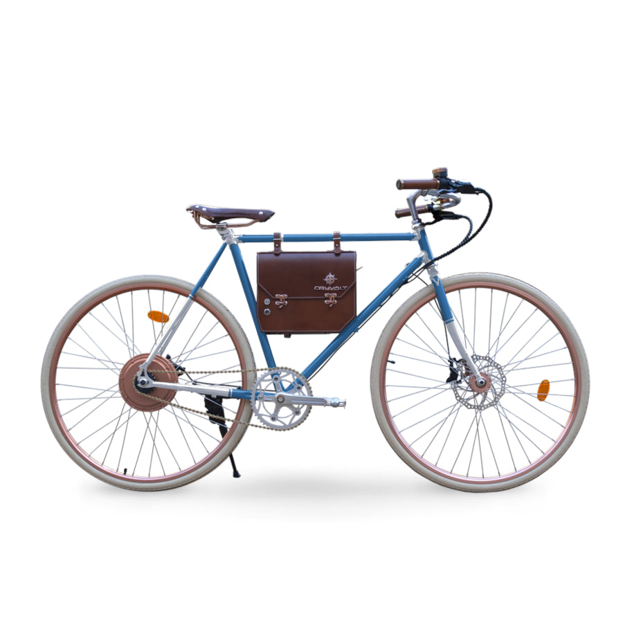 Rayvolt Ambassador – E-Bike & Elektro Fahrrad ohne Führerschein in der Schweiz 25 km/h - Retro & Vintage Velo kaufen