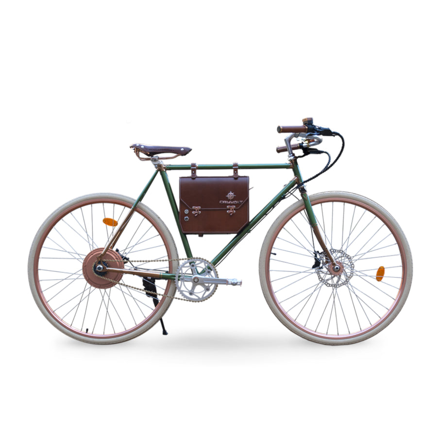 Rayvolt Ambassador – E-Bike & Elektro Fahrrad ohne Führerschein in der Schweiz 25 km/h - Retro & Vintage Velo kaufen
