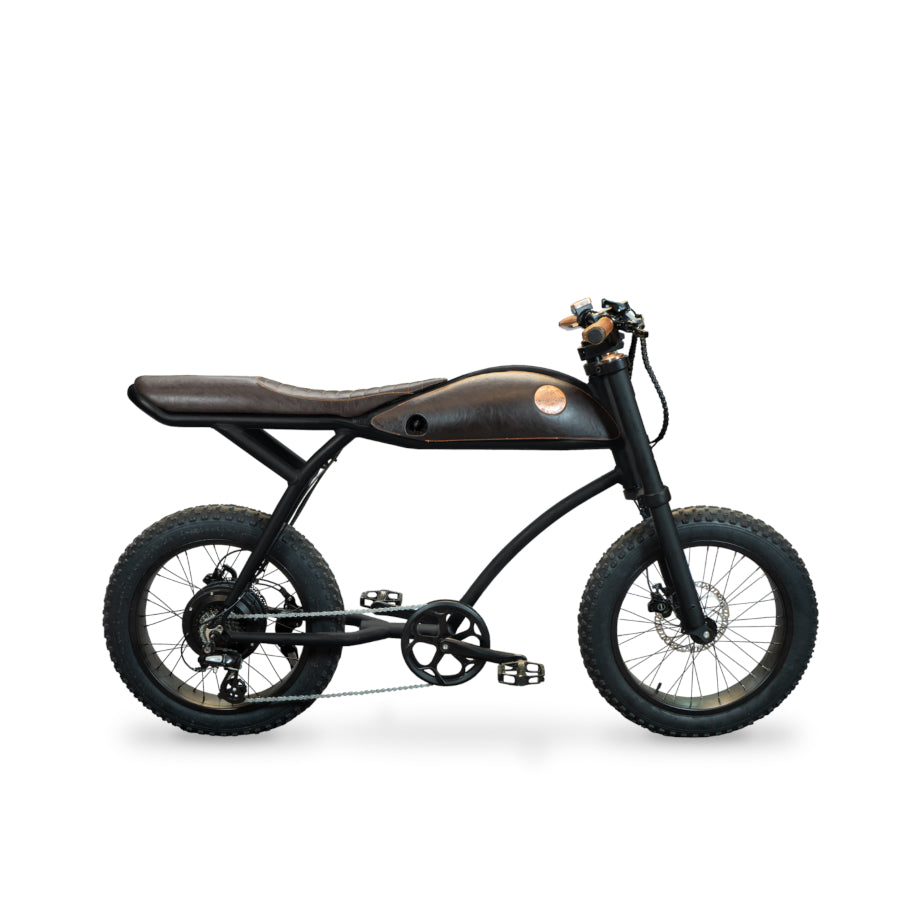 Rayvolt Ringo – E-Bike & Elektro Fahrrad ohne Führerschein in der Schweiz 25 km/h - Retro & Vintage Velo kaufen