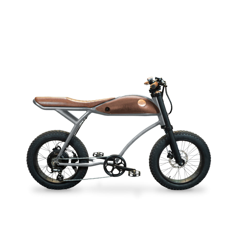 Rayvolt Ringo – E-Bike & Elektro Fahrrad ohne Führerschein in der Schweiz 25 km/h - Retro & Vintage Velo kaufen